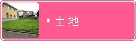 ��������ʪ��:����