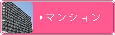 ��������ʪ��:�ޥ󥷥��